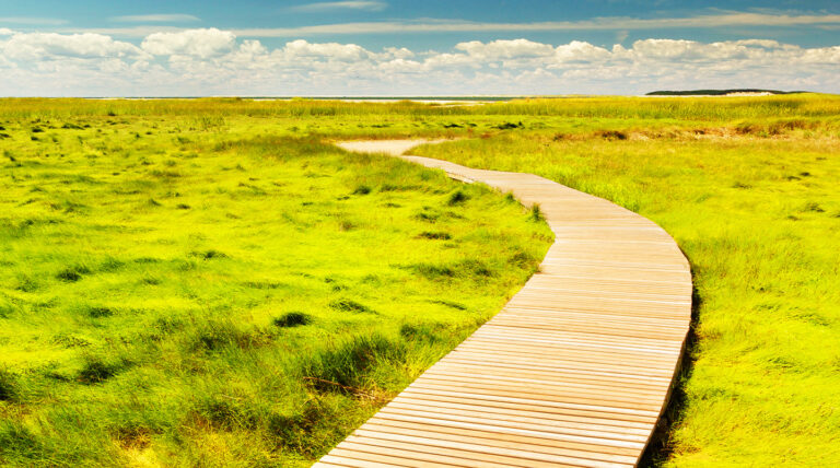 Boosting Cross-Border Philanthropy in Europe: Towards a Tax-Effective Environment