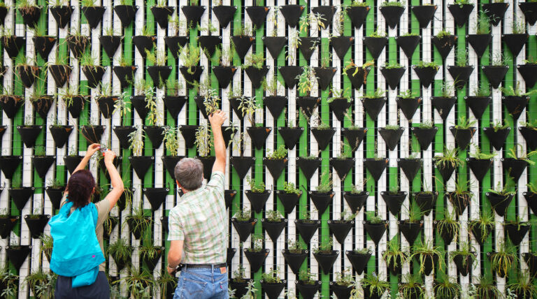 Reflecting on One Year of TGE’s Online Donation Platform