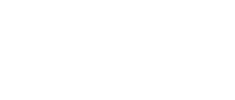 Global Mentorship Program – GMI – European Friends Fund