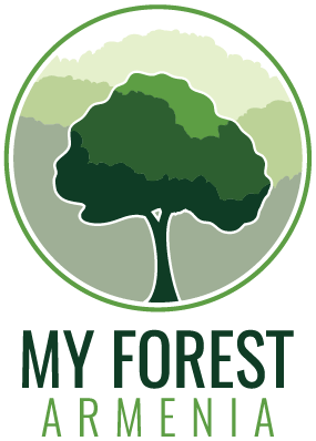 My forest Armenia – European Friends Fund