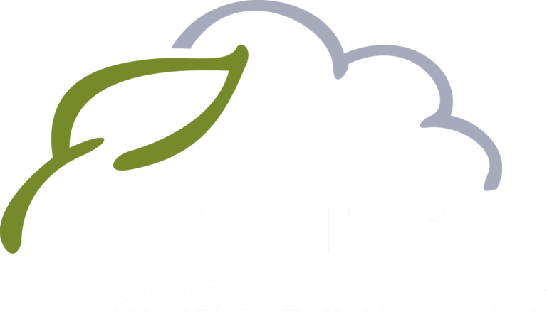 Weforest asbl
