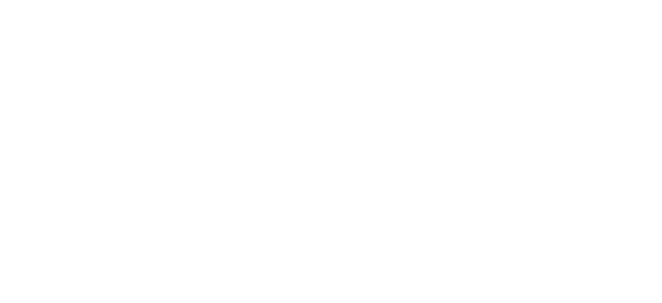 Italian Friends of The Citizens Foundation