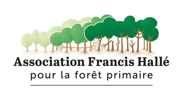 Association Francis Hallé pour la forêt primaire